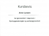 Arne Larsen - byggesaksregler og uavhengig kontroll
